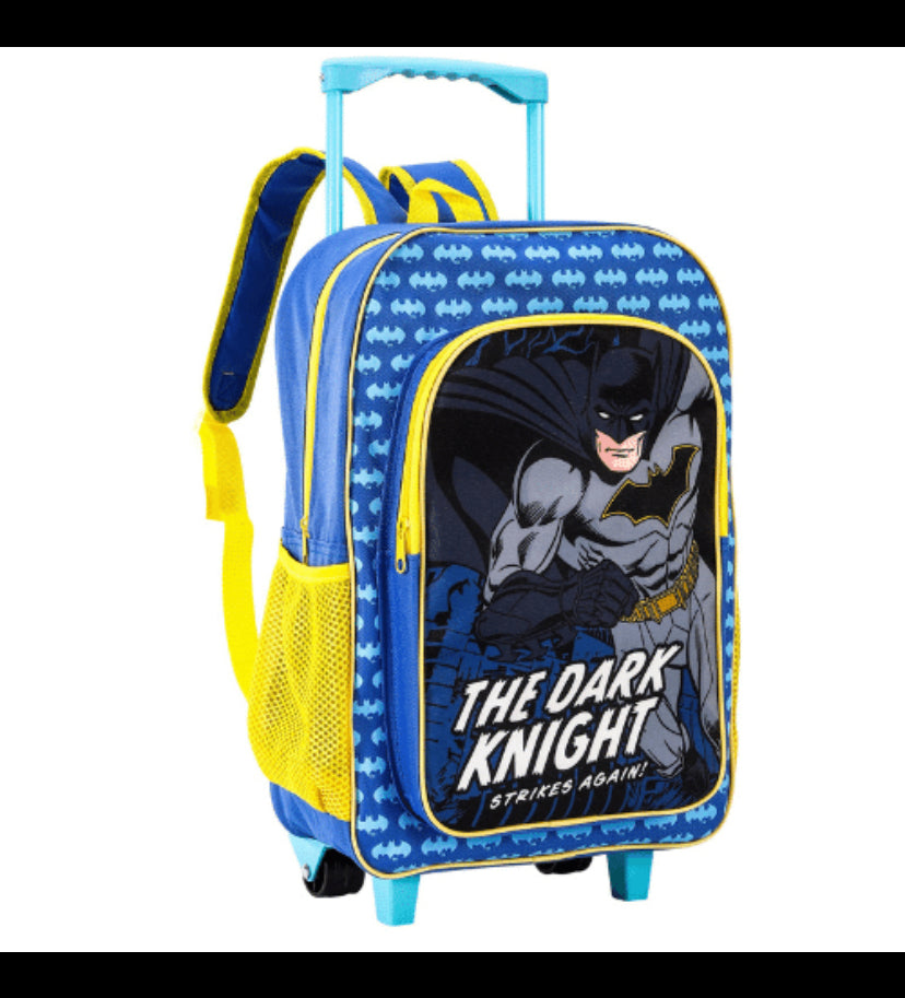 Kids Trolley Case